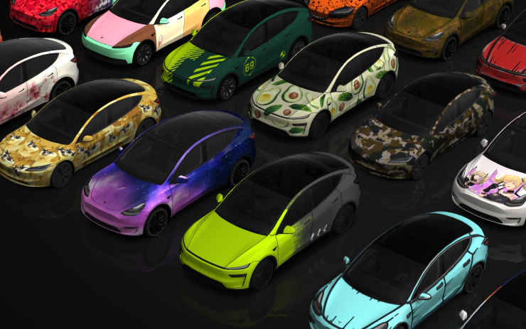 Paint Shop Cover